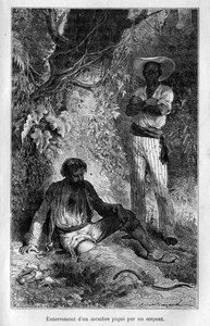 Book Our Enemies, by Mangin by Émile Bayard